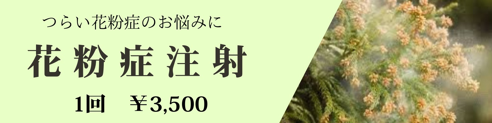 花粉症注射