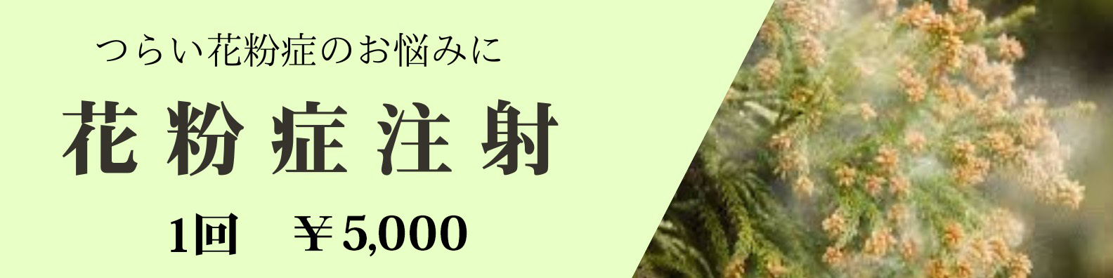 花粉症注射